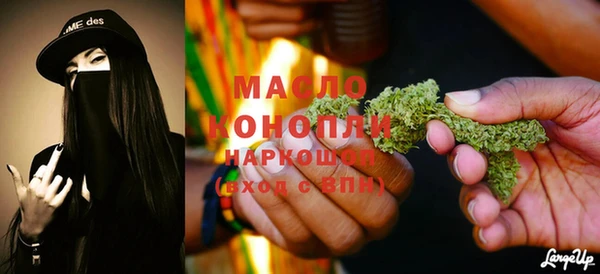 гидра Горняк