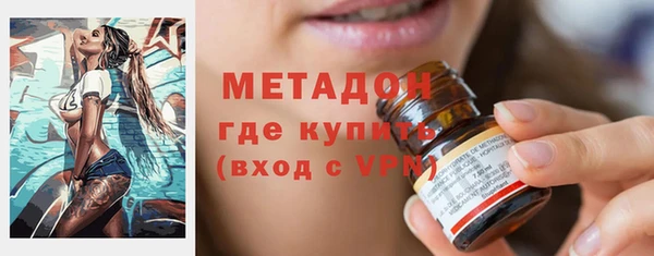 гидра Горняк