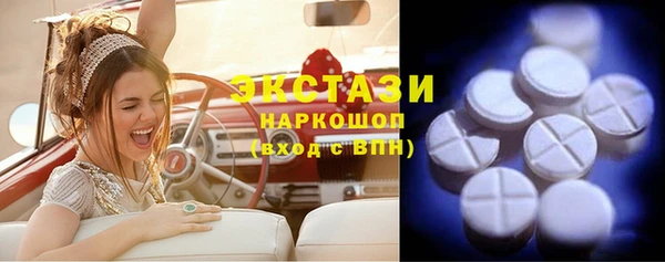 гидра Горняк