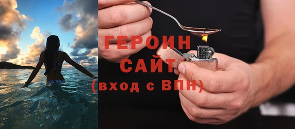 гидра Горняк