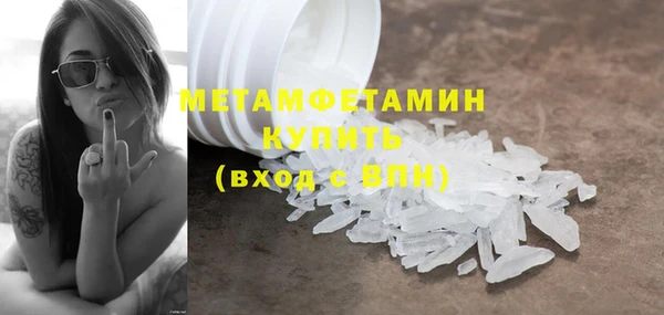гидра Горняк
