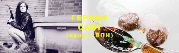 гидра Горняк