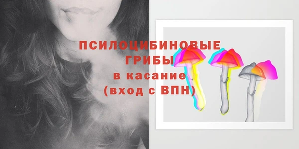 гидра Горняк