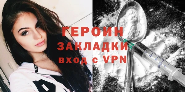 гидра Горняк