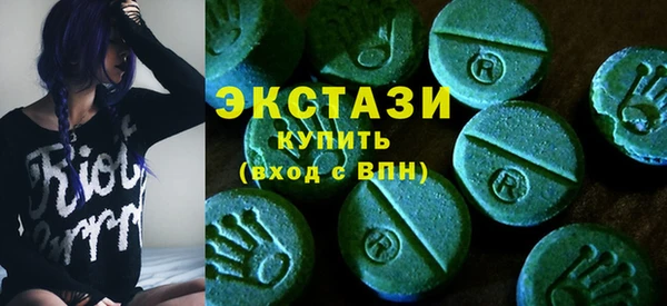 гидра Горняк