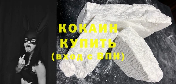 гидра Горняк
