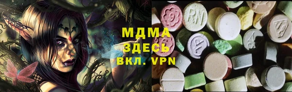 гидра Горняк