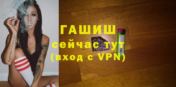 гидра Горняк