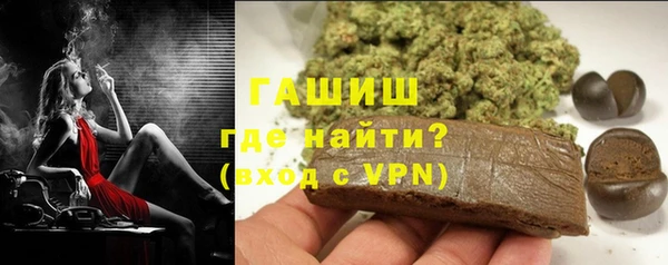 гидра Горняк