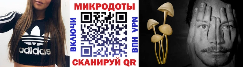 Псилоцибиновые грибы Cubensis  хочу наркоту  Подольск 